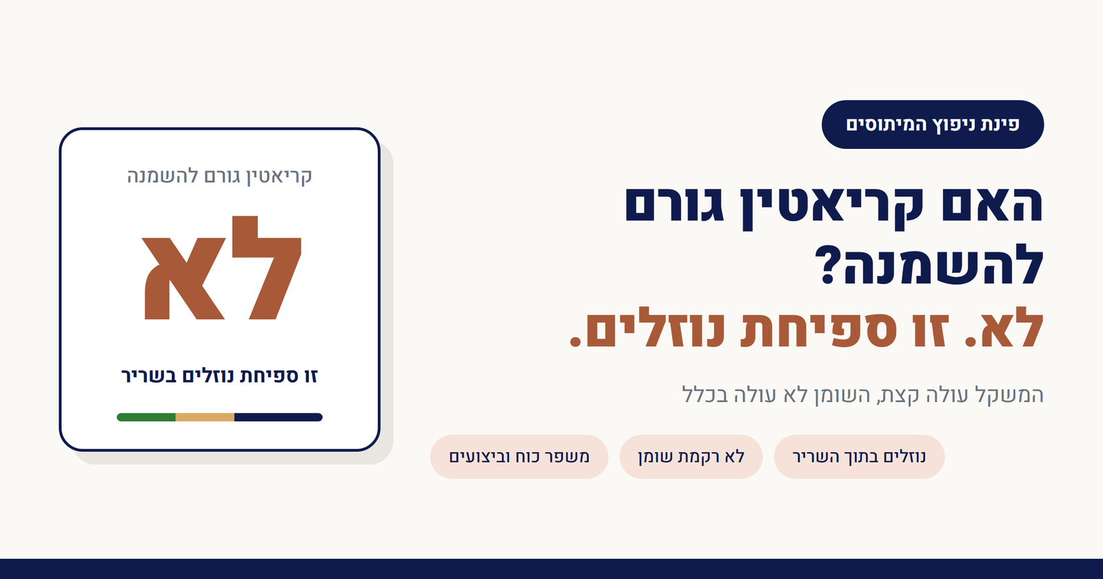 האם קריאטין גורם להשמנה?