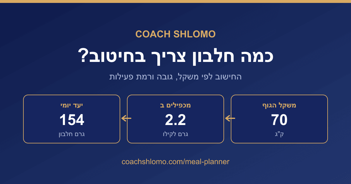 כמה חלבון צריך בחיטוב כדי לבנות שריר? המספר המדויק לפי משקל