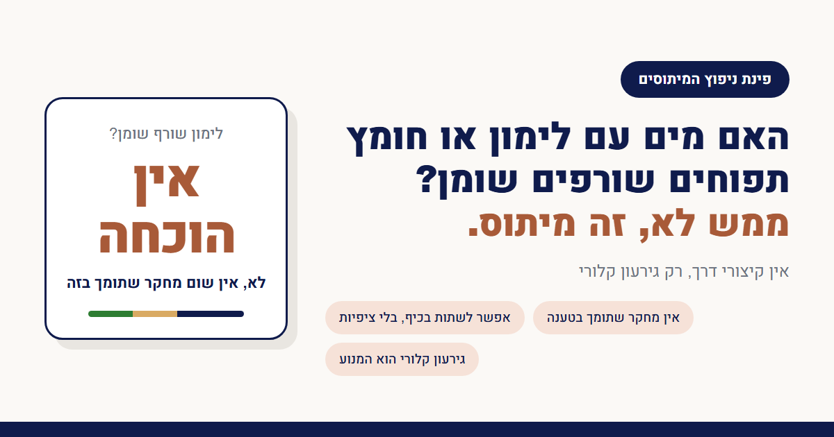 האם מים עם לימון או חומץ תפוחים שורפים שומן?